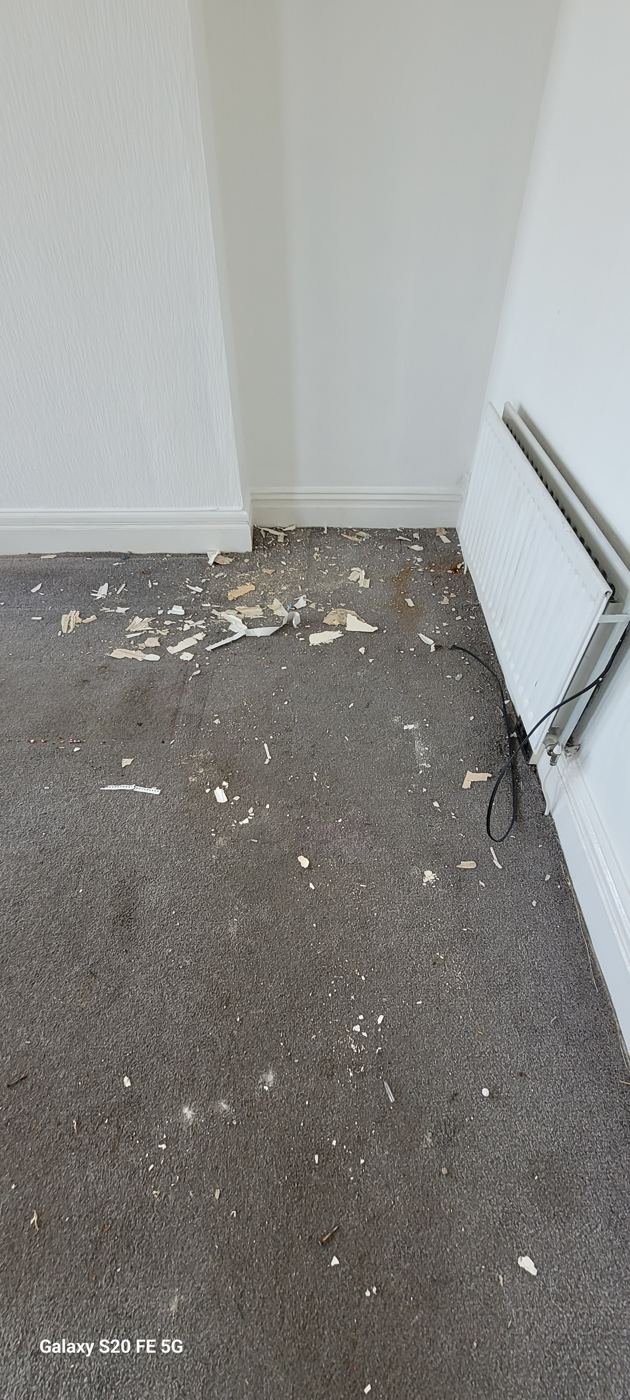 Grey bedroom carpet after building work, covered in plaster, paint flakes and fine builders dust
