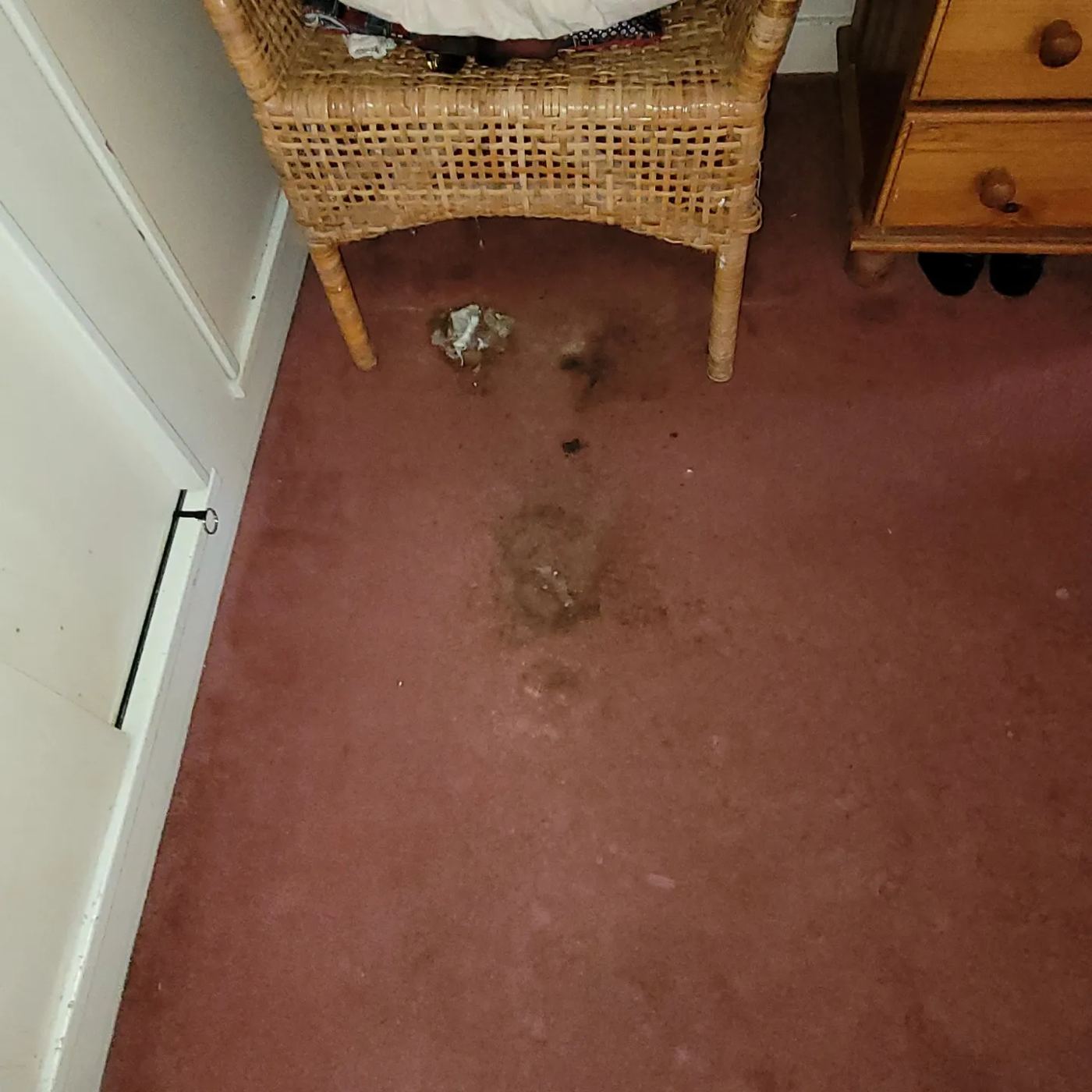 Dark red bedroom carpet before cleaning, with dirt and debris trodden into the pile beside a wicker chair