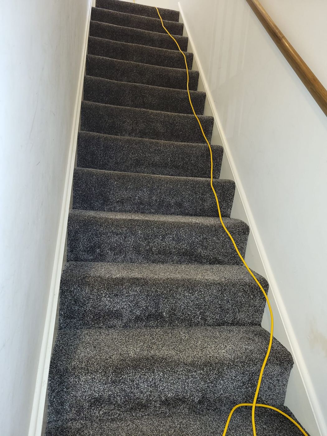 Grey stair carpet being cleaned, the hose running down the flight from the machine below