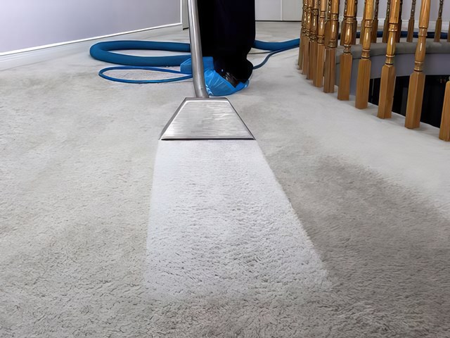 Freshly cleaned carpet showing a bright clean stripe